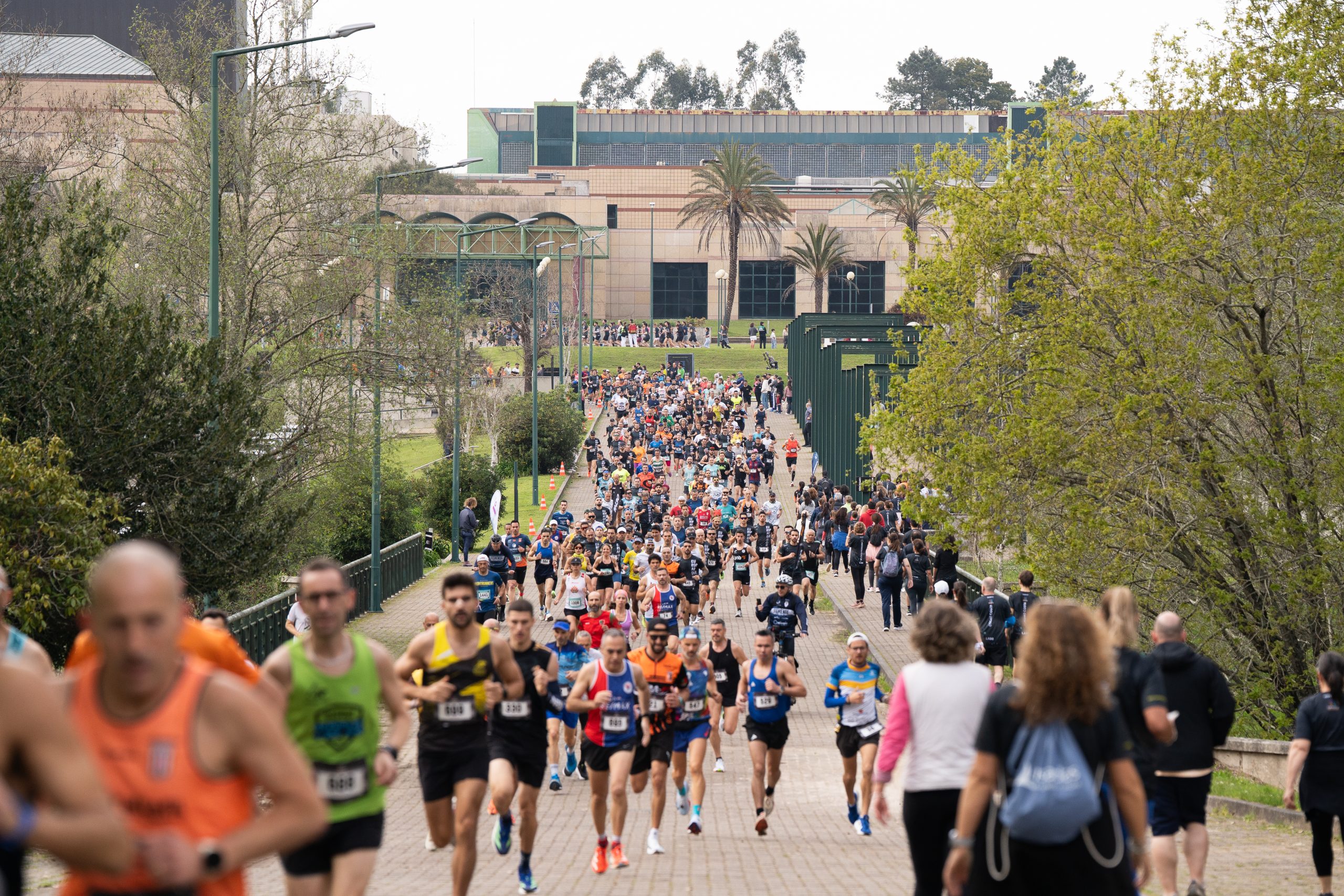 Europarque Meia Maratona Reforça Ligação à Cidade Em Edição Recorde